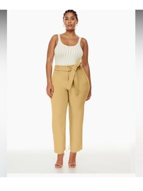 Aritzia Wilfred Tie-Front Pants Casual High Waisted Belted Sz 10